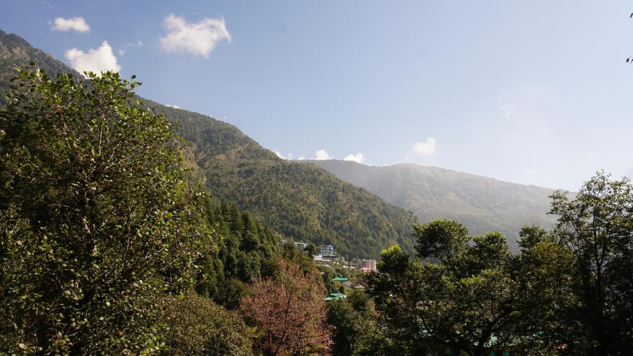 Angela'S Boutique Homes Dharamkot Дхарамсала Екстериор снимка